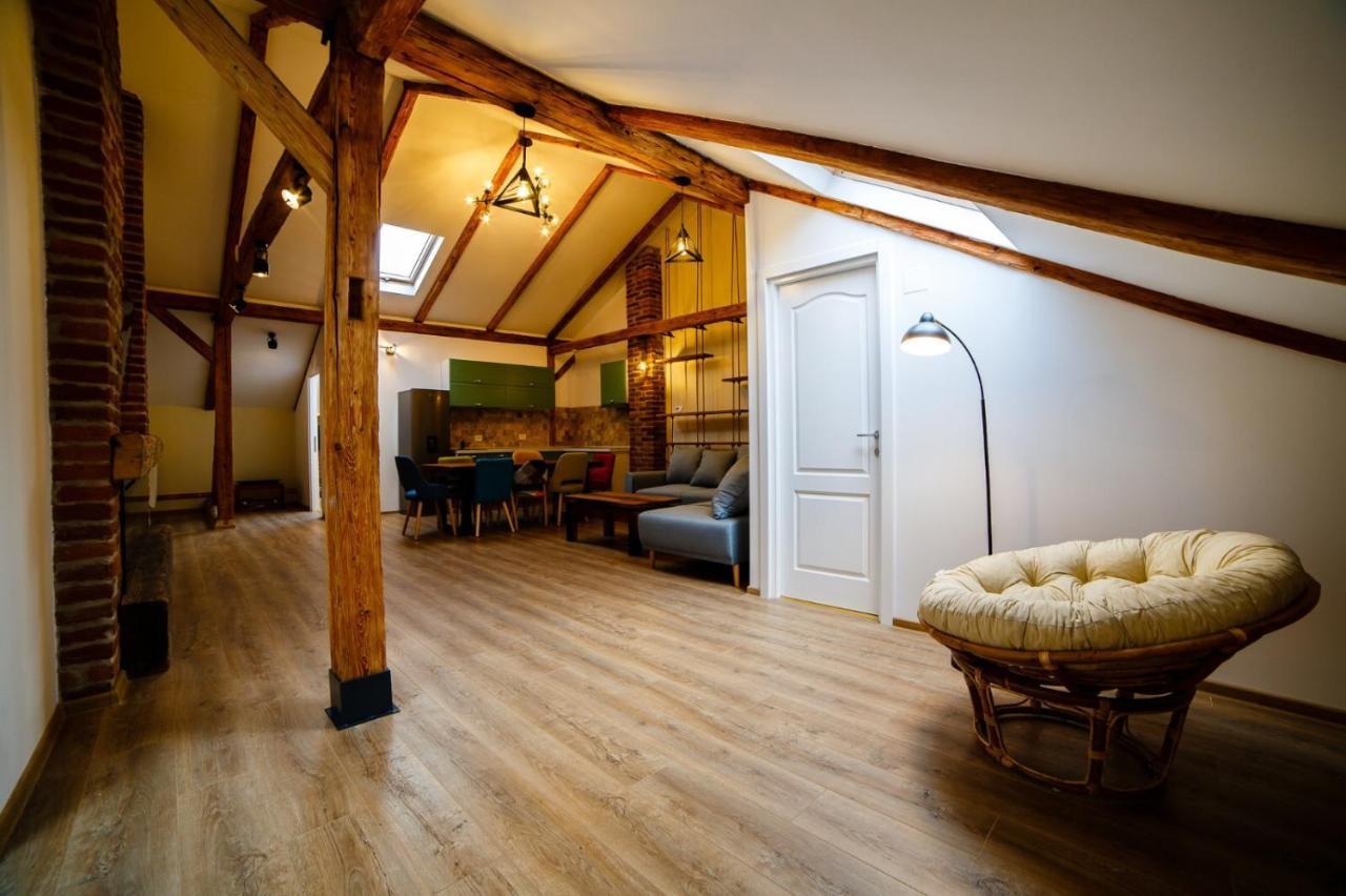 Appartement Alpine Loft à Câmpulung Moldovenesc Extérieur photo