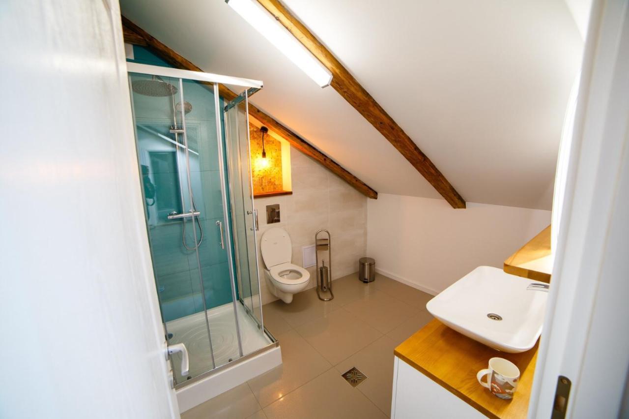 Appartement Alpine Loft à Câmpulung Moldovenesc Extérieur photo