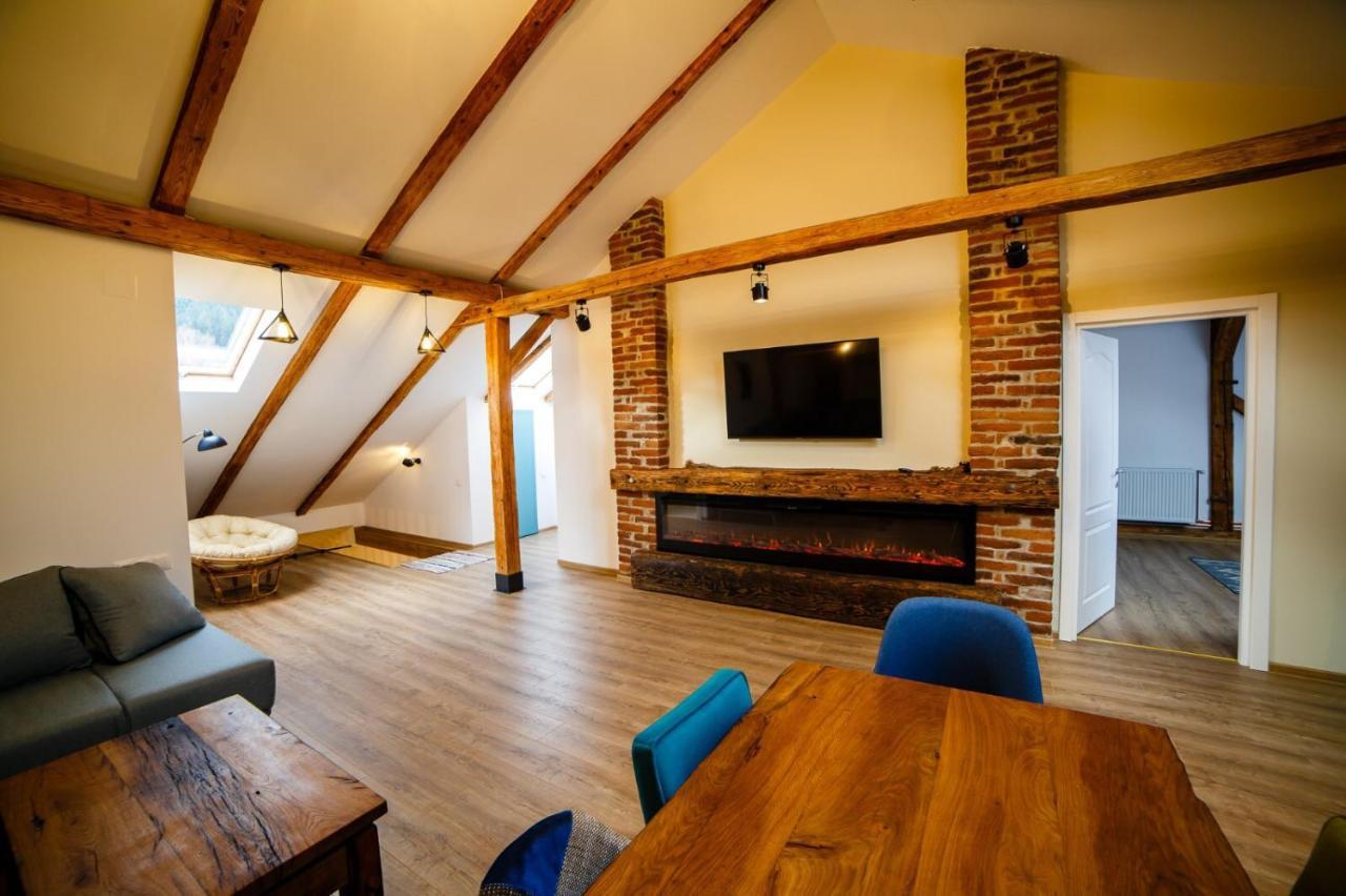 Appartement Alpine Loft à Câmpulung Moldovenesc Extérieur photo